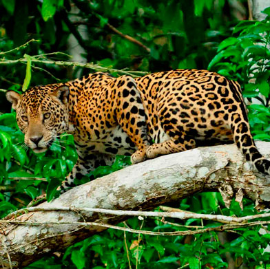 Unique Adventure & Nature Peru Unique Adventure & Nature Peru