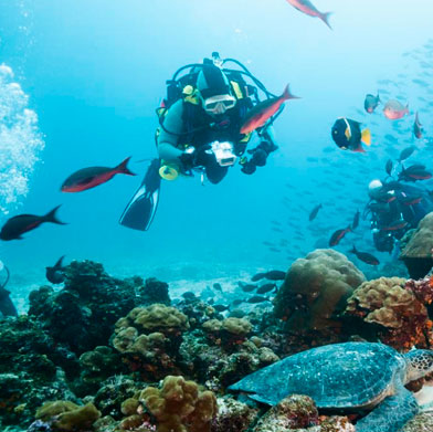 Marvels of Latin America - Assisted - Galapagos Islands, Machu Picchu & Easter Islands Marvels of Latin America - Assisted - Galapagos Islands, Machu Picchu & Easter Islands