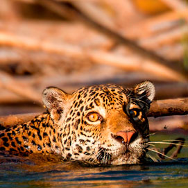 2018 Peru Nature and Trek tour 2018 Peru Nature and Trek tour