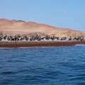 Paracas Islands