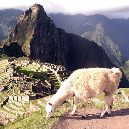 Machupicchu Cusco - Luxury Peru Tour 6
