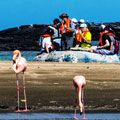 2025 Accessible Galapagos Tour