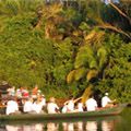 2024 Christmas Brazil Tour<br />
Iguazu Falls & Amazon River Cruise from Manaus